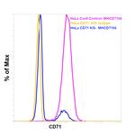 Transferrin Receptor Antibody in Flow Cytometry (Flow)