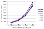 Mouse Kappa Light Chain Secondary Antibody in ELISA (ELISA)