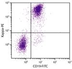 Mouse Kappa Light Chain Secondary Antibody in Flow Cytometry (Flow)