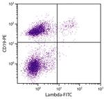 Mouse Lambda Light Chain Secondary Antibody in Flow Cytometry (Flow)