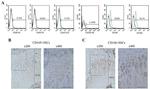 CD29 (Integrin beta 1) Antibody in Flow Cytometry (Flow)