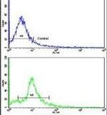 NUP62 Antibody in Flow Cytometry (Flow)