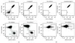 CD243 (ABCB1) Antibody in Flow Cytometry (Flow)