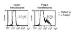 FOXP3 Antibody in Flow Cytometry (Flow)