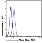 AKT3 Antibody in Flow Cytometry (Flow)