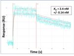 SNRNP200 Antibody in Surface plasmon resonance (SPR)