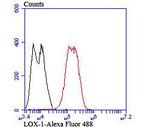 LOX-1 Antibody in Flow Cytometry (Flow)