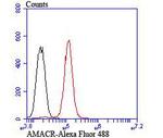AMACR Antibody in Flow Cytometry (Flow)