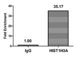 H3K4cr Antibody in ChIP Assay (ChIP)