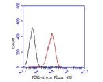 P2X1 Antibody in Flow Cytometry (Flow)