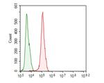 CEACAM6 Antibody in Flow Cytometry (Flow)