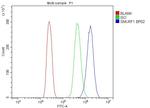 SMURF1 Antibody in Flow Cytometry (Flow)