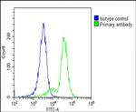 CD3z Antibody in Flow Cytometry (Flow)