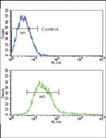 ADAM17 Antibody in Flow Cytometry (Flow)