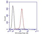 ENT1 Antibody in Flow Cytometry (Flow)