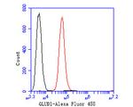 GluD1 Antibody in Flow Cytometry (Flow)