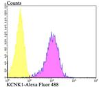 KCNK1 Antibody in Flow Cytometry (Flow)