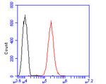 ADAM22 Antibody in Flow Cytometry (Flow)