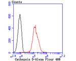 Cathepsin D Antibody in Flow Cytometry (Flow)