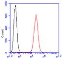 SynGAP Antibody in Flow Cytometry (Flow)