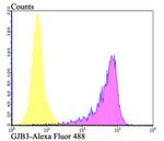 Connexin 32 Antibody in Flow Cytometry (Flow)