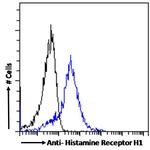 HRH1 Antibody in Flow Cytometry (Flow)