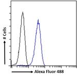 HRH2 Antibody in Flow Cytometry (Flow)