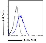 GLI1 Antibody in Flow Cytometry (Flow)