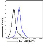 DNAJB9 Antibody in Flow Cytometry (Flow)