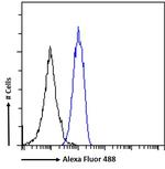 STAT5 alpha Antibody in Flow Cytometry (Flow)