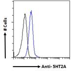 HTR2A Antibody in Flow Cytometry (Flow)
