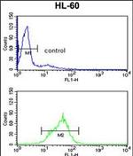 EN2 Antibody in Flow Cytometry (Flow)