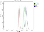 MEFV Antibody in Flow Cytometry (Flow)