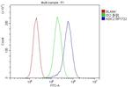 ASIC2 Antibody in Flow Cytometry (Flow)