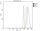 POLA1 Antibody in Flow Cytometry (Flow)