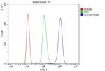 DIO1 Antibody in Flow Cytometry (Flow)