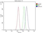 gp210 Antibody in Flow Cytometry (Flow)