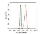 Dicer Antibody in Flow Cytometry (Flow)