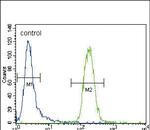 CYP3A4 Antibody in Flow Cytometry (Flow)