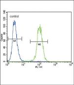 Urokinase Antibody in Flow Cytometry (Flow)