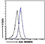 MARK4 Antibody in Flow Cytometry (Flow)