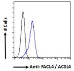 ACSL4 Antibody in Flow Cytometry (Flow)