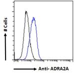 alpha-2a Adrenergic Receptor Antibody in Flow Cytometry (Flow)