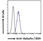 Gelsolin Antibody in Flow Cytometry (Flow)