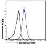 ABCC11 Antibody in Flow Cytometry (Flow)