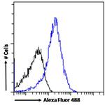 TET2 Antibody in Flow Cytometry (Flow)