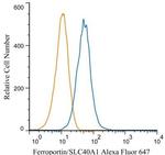 Ferroportin Antibody in Flow Cytometry (Flow)