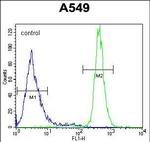 WFDC12 Antibody in Flow Cytometry (Flow)