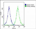 IGF2BP1 Antibody in Flow Cytometry (Flow)