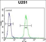 Mist1 Antibody in Flow Cytometry (Flow)